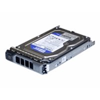 1TB 7.2K 3.5in PE 10/11-Series 1TB 7.2K 3.5in PE 10/11-Series