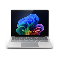 LPTP7 13i PLUS/16/256 W11 QWERTZ Platinum QWERTZ