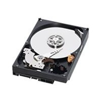 1TB 7.2K Desktop Nearline SAS 1TB 7.2K Desktop Nearline SAS