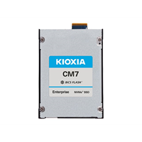 X121 CM7-V E3.S eSDD 3.2TB PCIe SIE