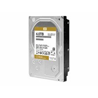 4TB RE 128MB - WD Re Drive 4TB RE 128MB - WD Re Drive